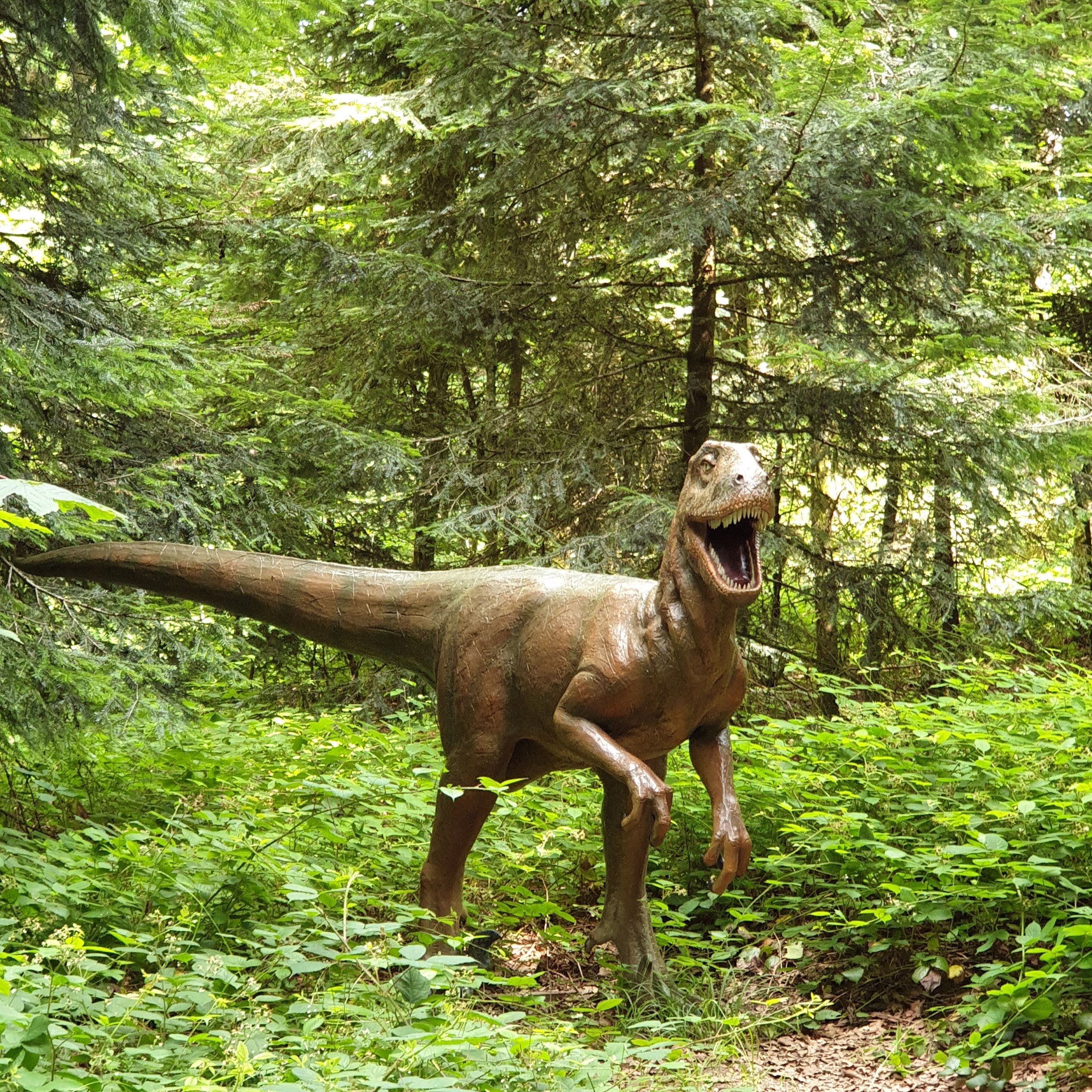 Grottes et Préhisto-Parc